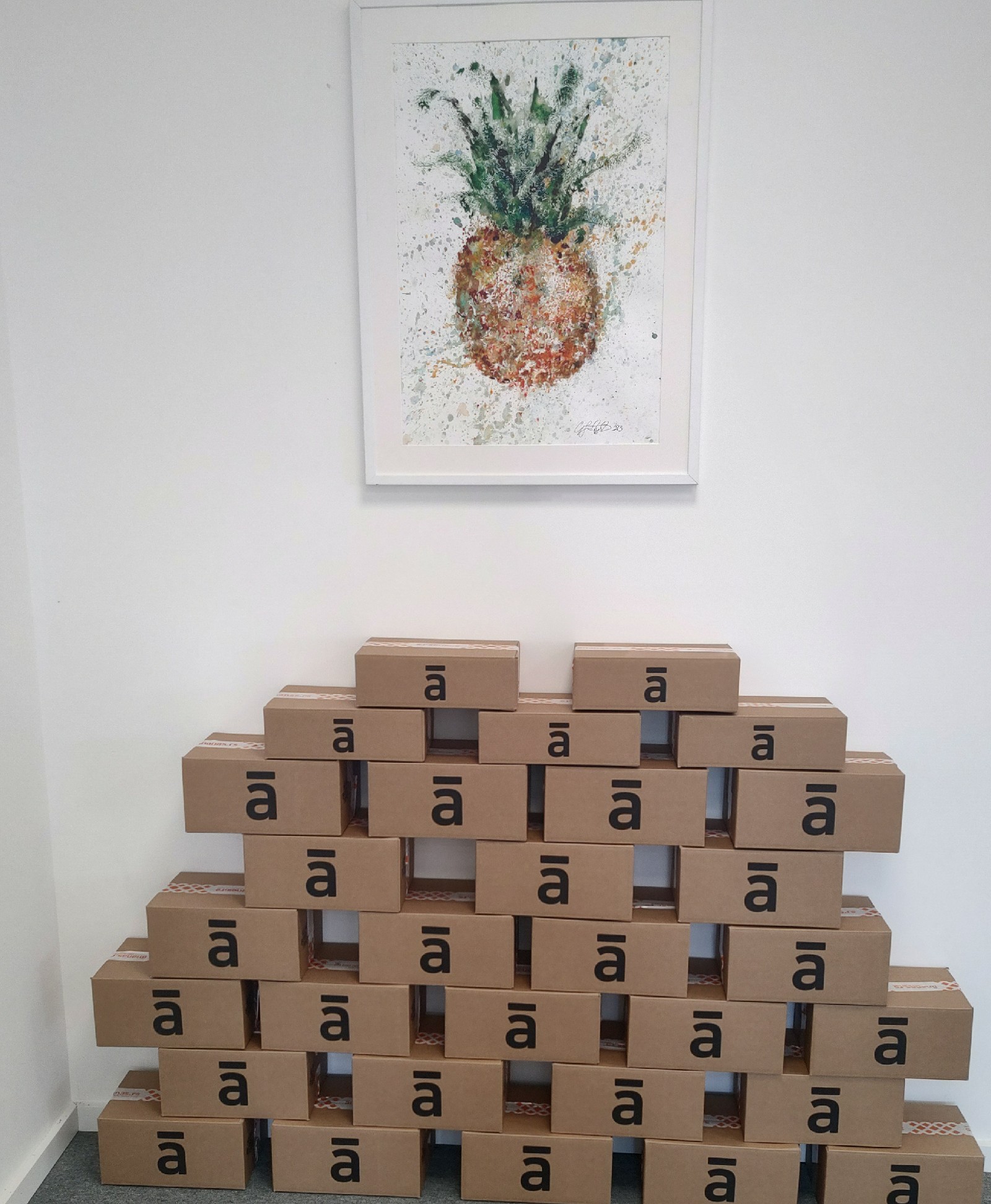 Ananas lansira prvi e-fulfillment centar u ovom delu Evrope